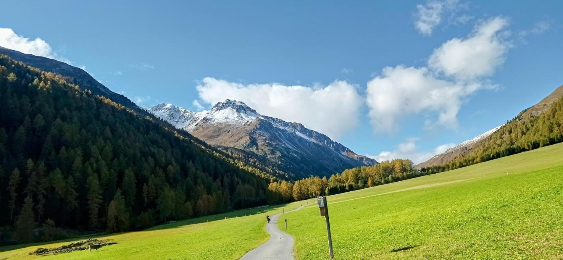 Zangerlehof Villa Slingia Eksteriør bilde